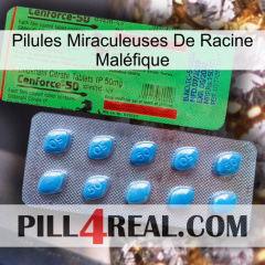 Pilules Miraculeuses De Racine Maléfique new03